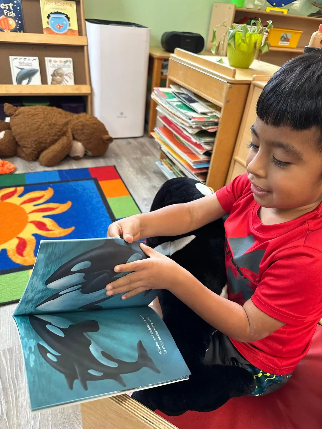 A young boy in a red shirt sits on a black stuffed animal while holding open a picture book featuring orcas on a colorful rug in a classroom.