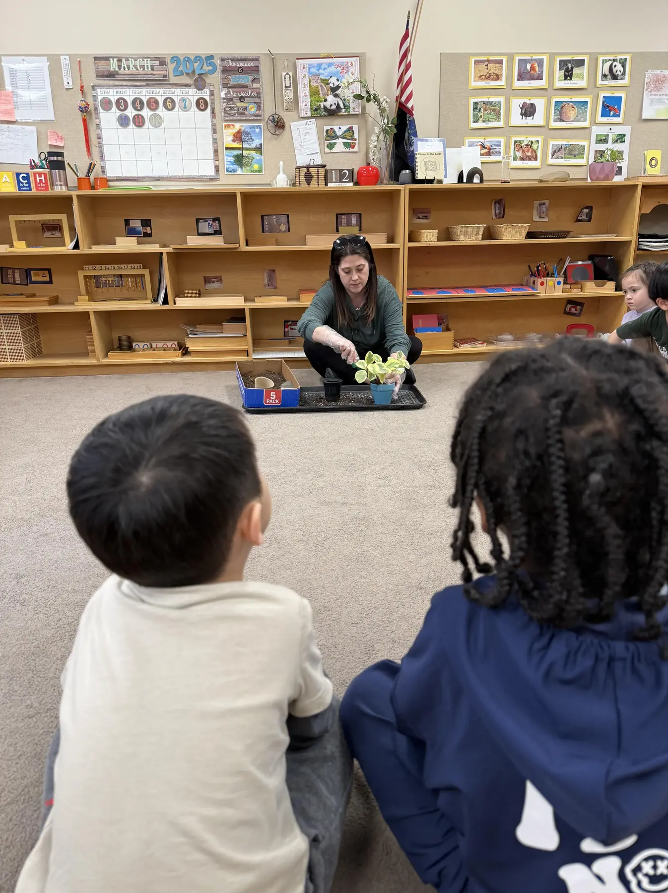 Preschool children learning together in a classroom