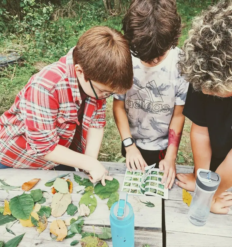 Three children stand at a wooden table examining leaves and an open picture book, with two water bottles nearby.
