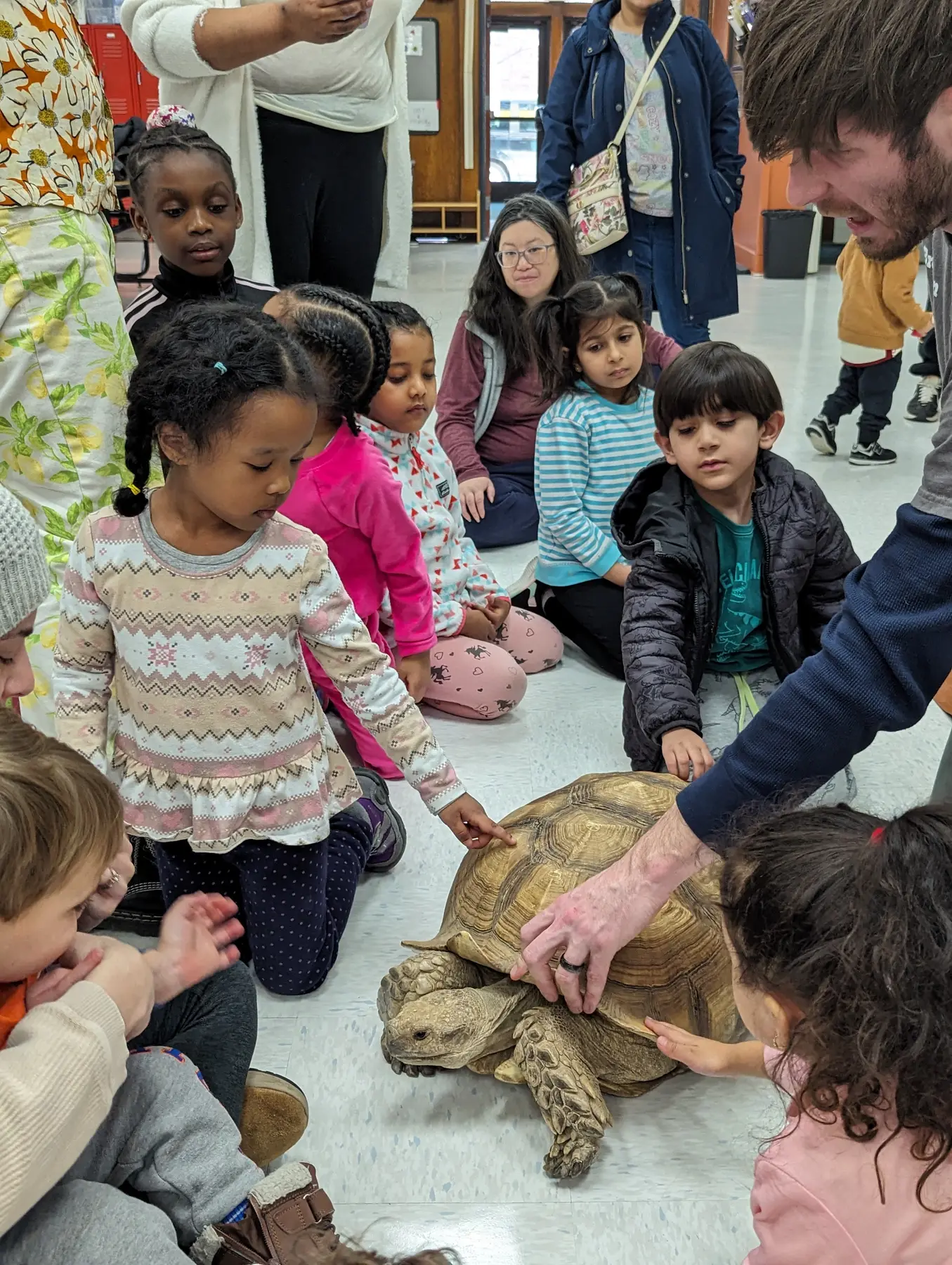 A man kneels and places his hand on a large tortoise as several children sitting on the floor reach out to touch it while adults stand behind them.