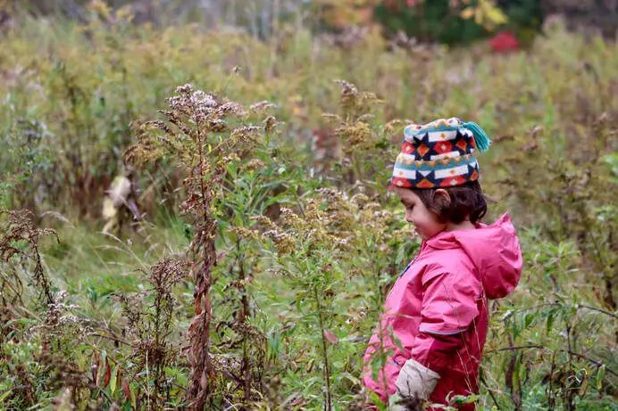 A young child in a pink jacket and patterned knit hat stands among tall dry weeds and grasses in a field.