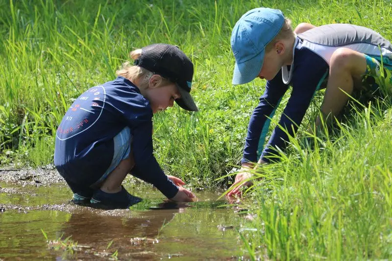 Two young children crouch beside a shallow stream in tall grass, looking down at the water.