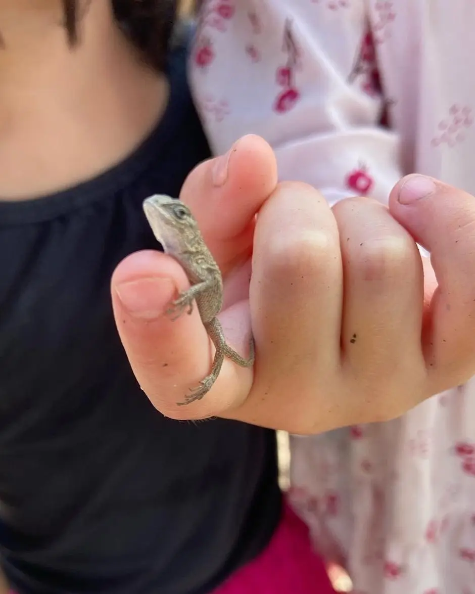 A child's hand holds a small brown lizard while another person wearing a floral top stands behind them.