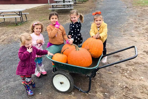 Five young girls stand outdoors around a green wagon filled with pumpkins, with one girl in a purple jacket reaching toward the handle.