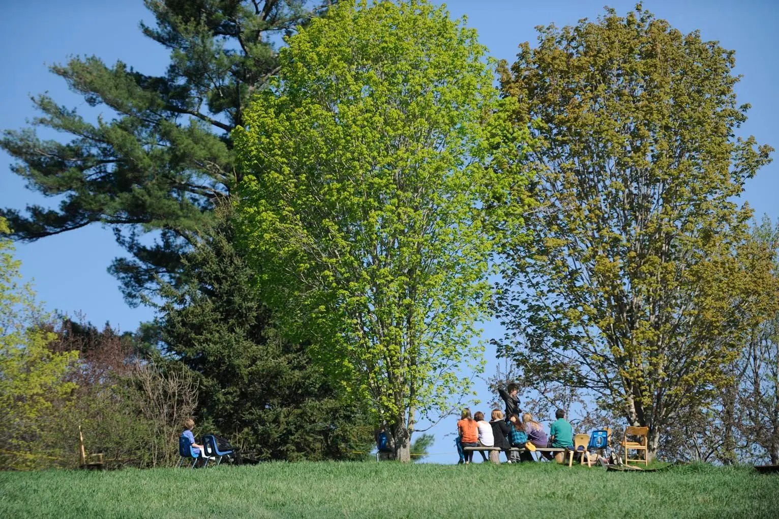 A group of people sit and stand on a grassy lawn beneath large trees, with several empty chairs placed nearby.