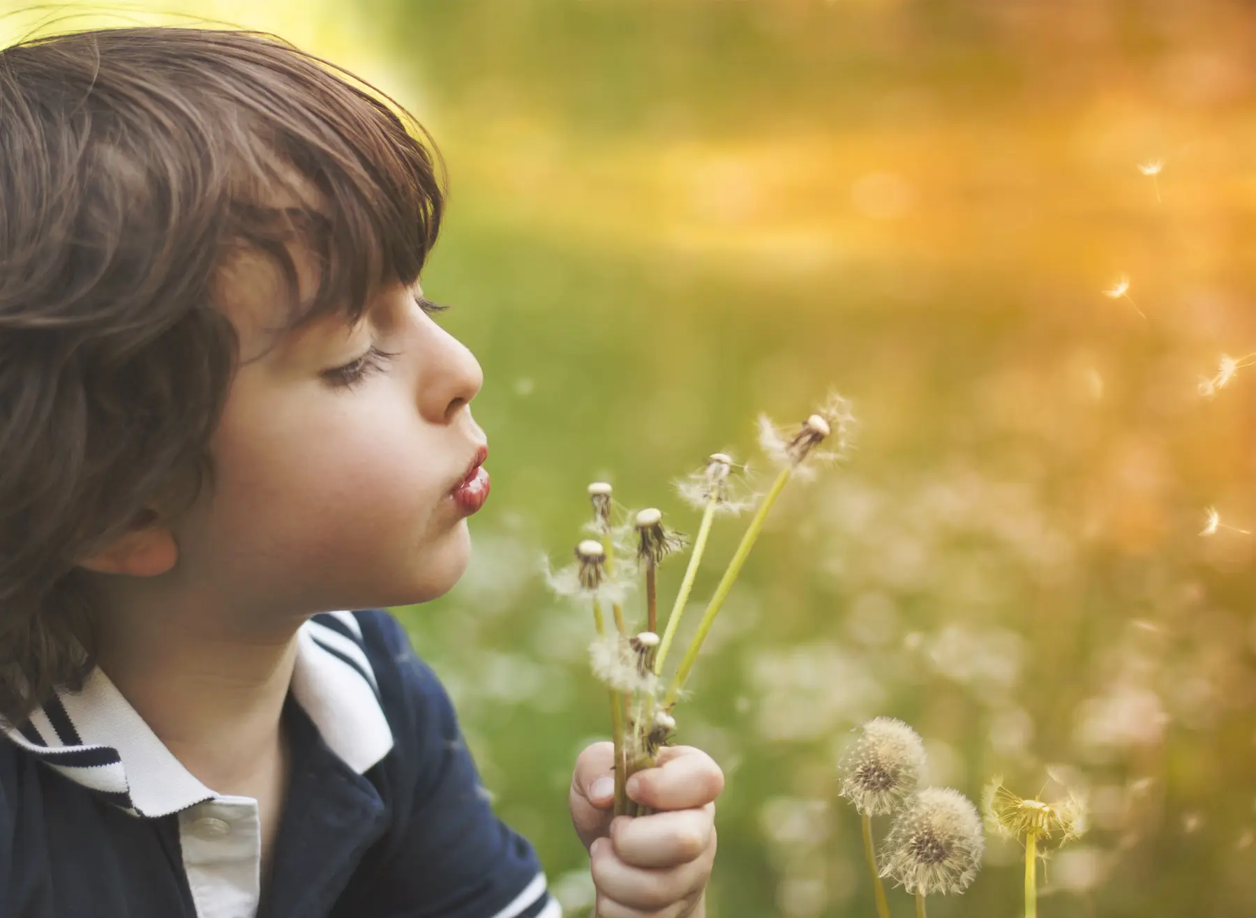A child blows dandelion seeds in a grassy field.