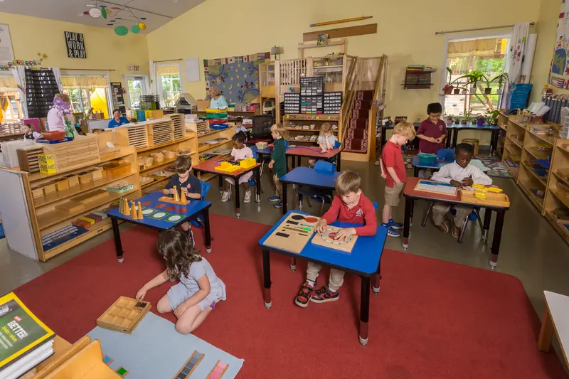 Children sit at blue tables and on a red rug working with wooden learning materials in a classroom filled with shelves and plants.
